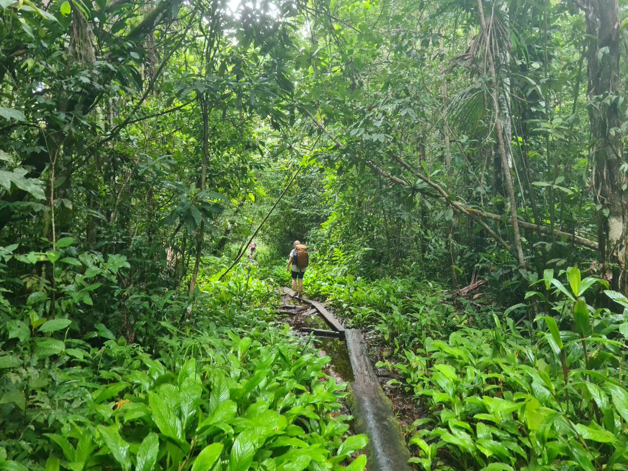 Kolumbia Amazonas Folyó Körút